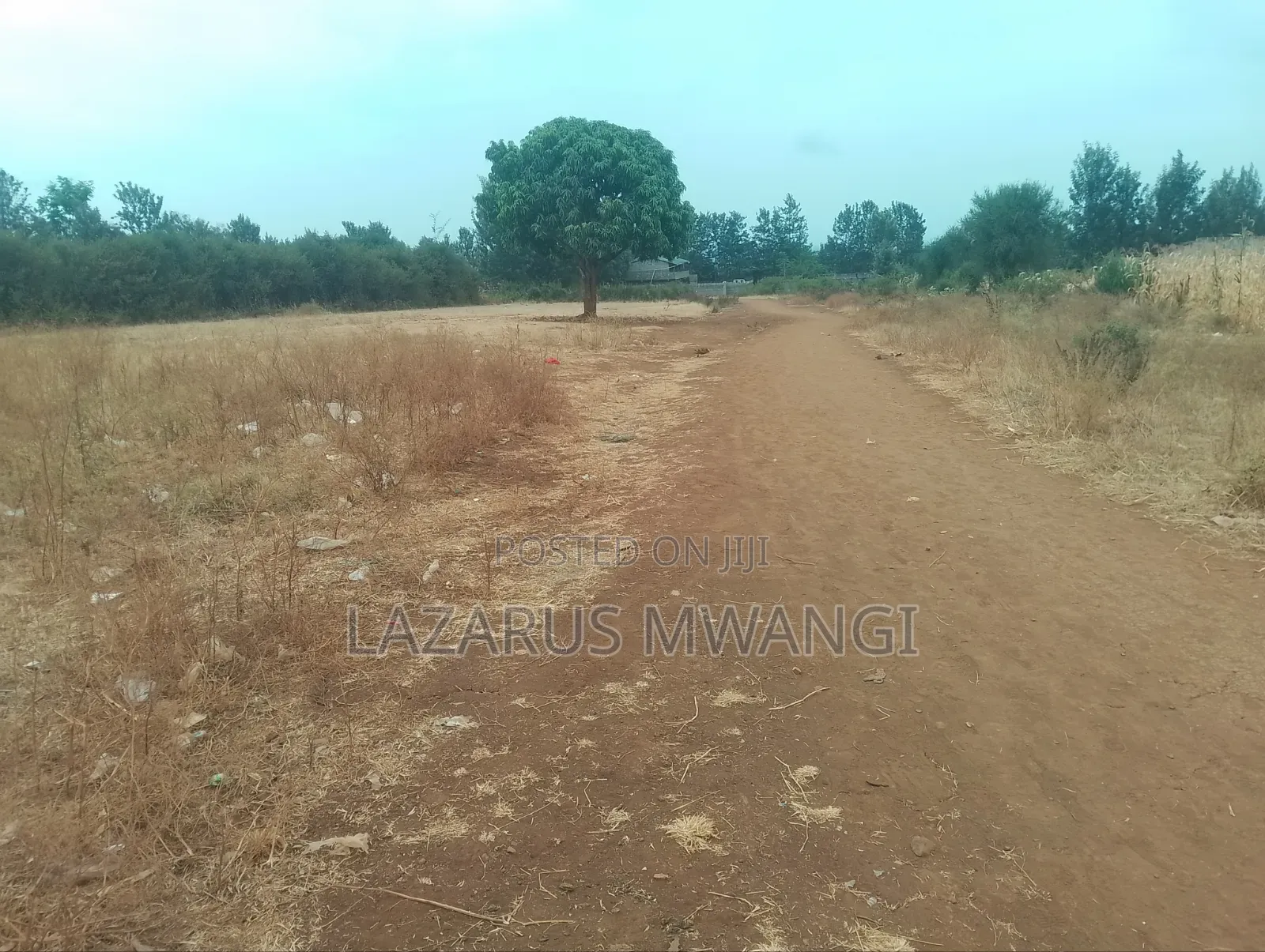 Highway 50 by 100 Plot at Wamumu Township