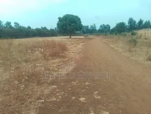 Highway 50 by 100 Plot at Wamumu Township