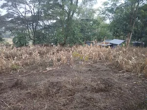 Distress Sale! Prime Redsoil Half Acre in Olkeri, Ngong at Kes 9.7M