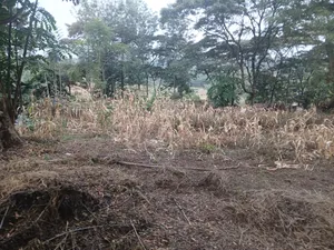 Distress Sale! Prime Redsoil Half Acre in Olkeri, Ngong at Kes 9.2M