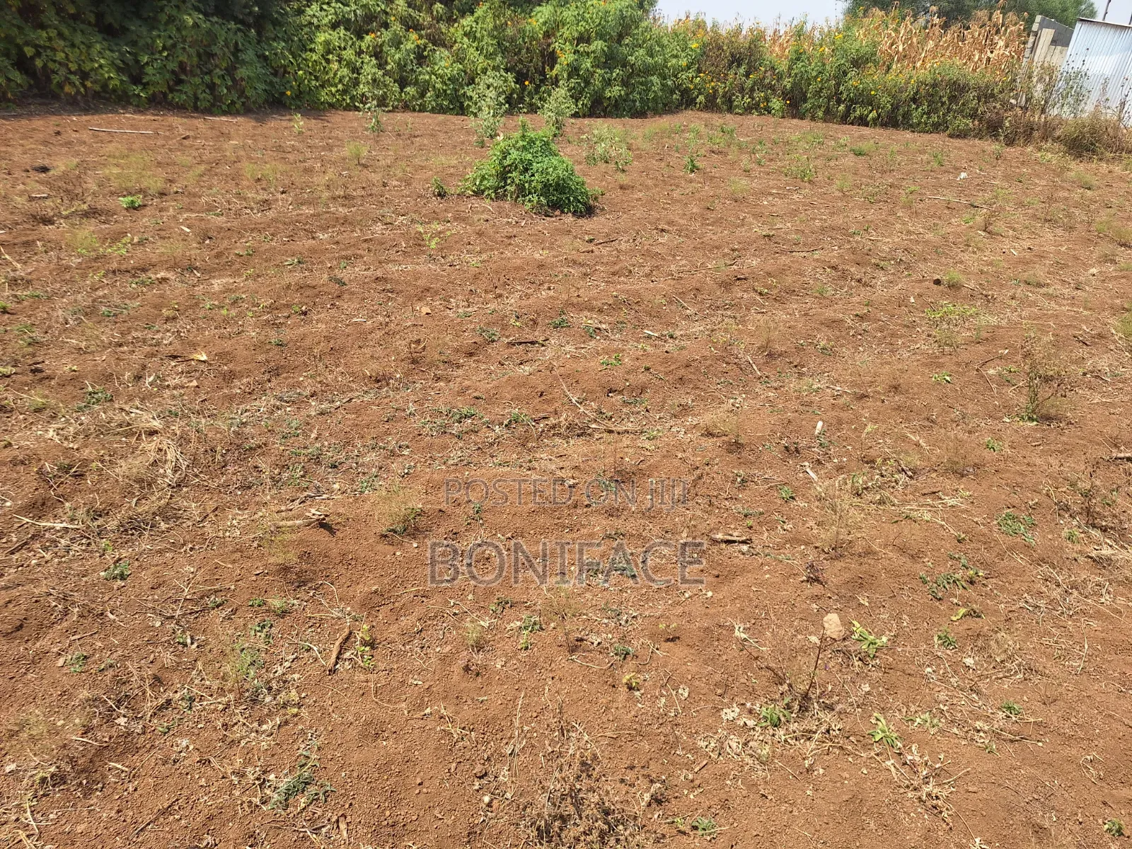 Land and Plot