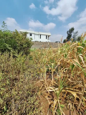 Land and Plot