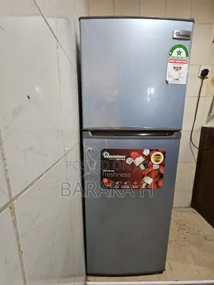 Fridge Ramtoms 129-128 Litters / Slightly Used