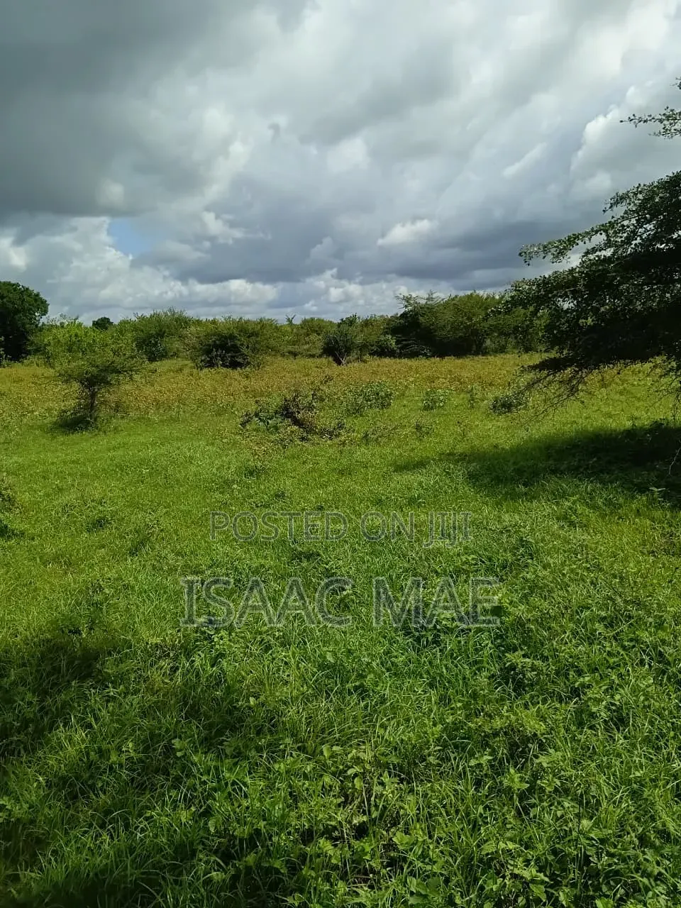 3 Acres for Sale at Malind Sosobora Area Per Acre