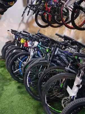 Manual Mountain Bike