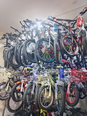 Manual Mountain Bike