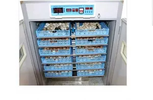 High-Precision Premier 2112 Eggs Incubator