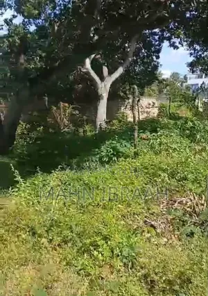70 by 100ft Prime Land for Sale in Mtwapa