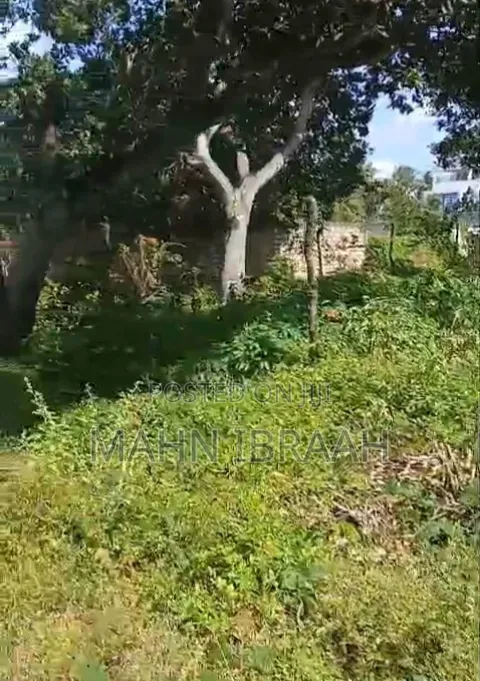70 by 100ft Prime Land for Sale in Mtwapa