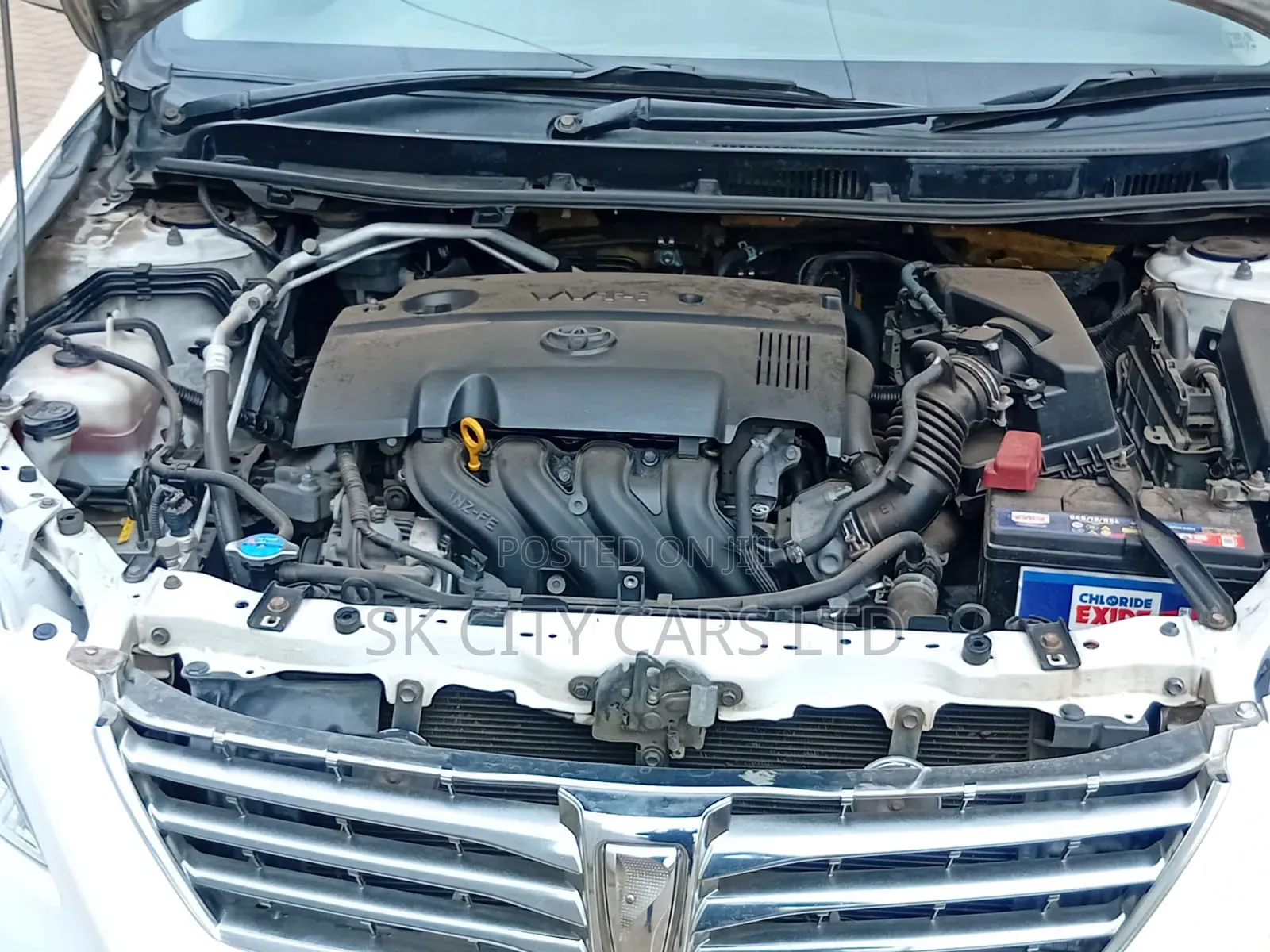 Toyota Premio 2010 White