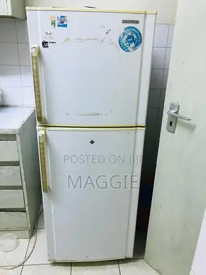 Samsung Fridge