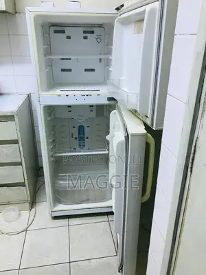 Samsung Fridge
