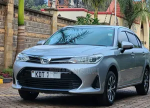 Toyota Axio 2018 Silver