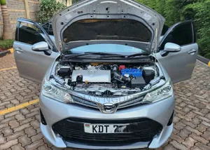 Toyota Axio 2018 Silver