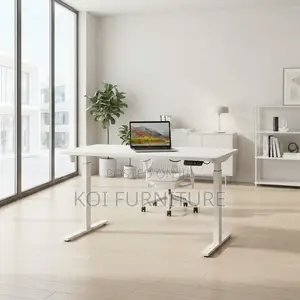 Office Desk; Home Studios 1200MM Electric Adjustable Office Desk