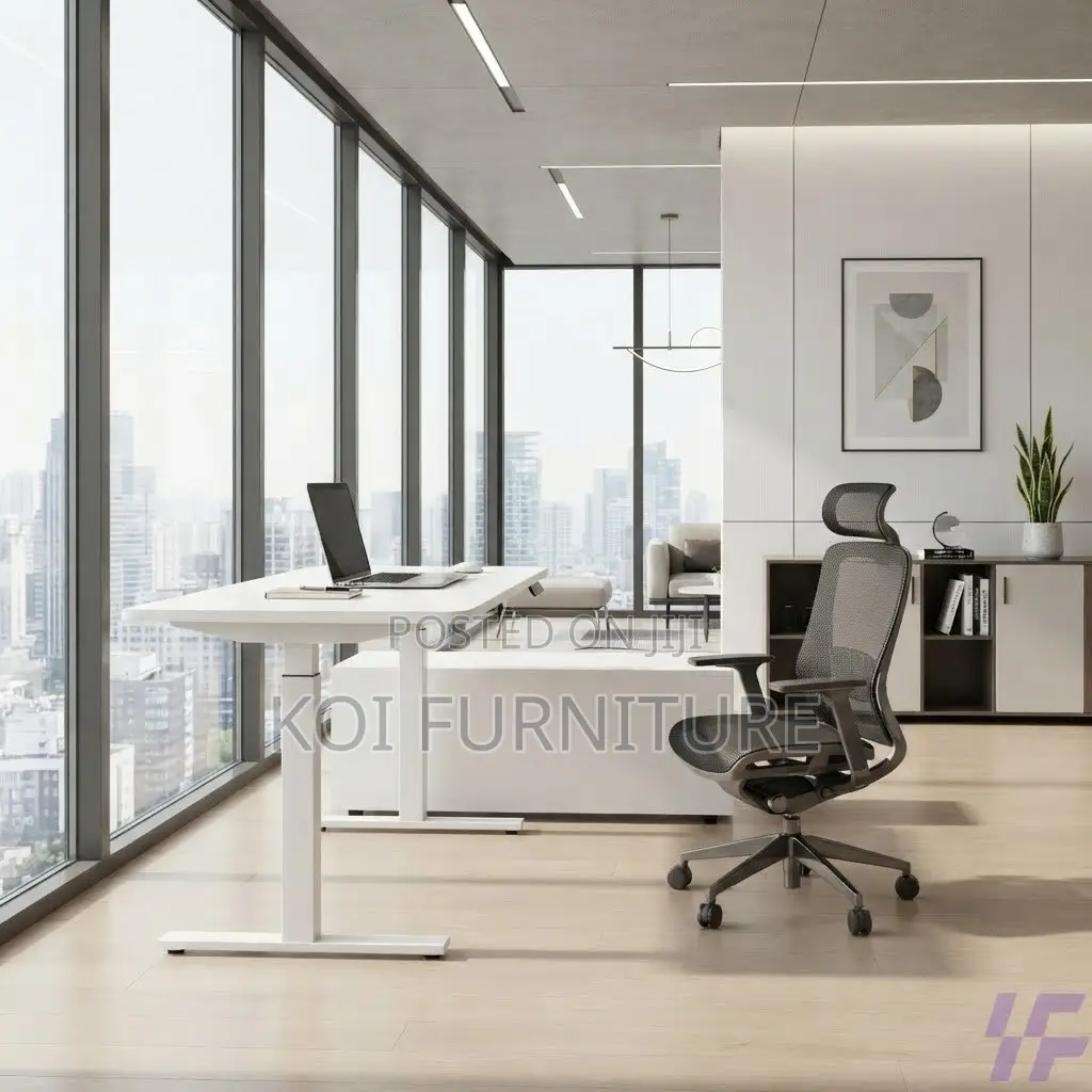 Office Desk; Home Studios 1200MM Electric Adjustable Office Desk