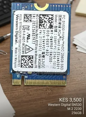 Western Digital SSD