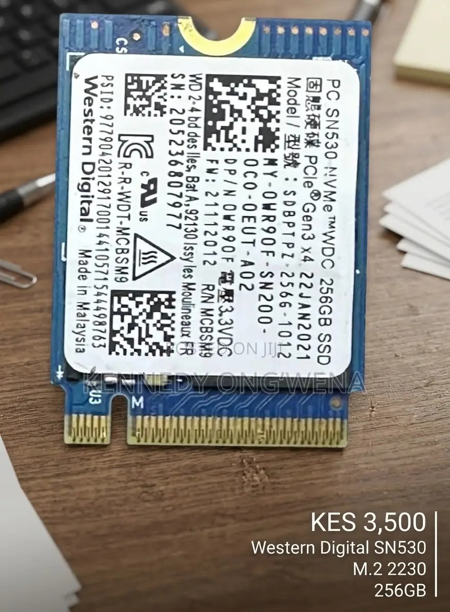 Western Digital SSD