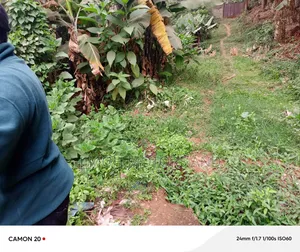 Land for Sale in Gachie