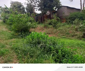 Land for Sale in Gachie