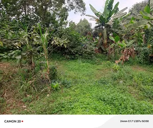 Land for Sale in Gachie