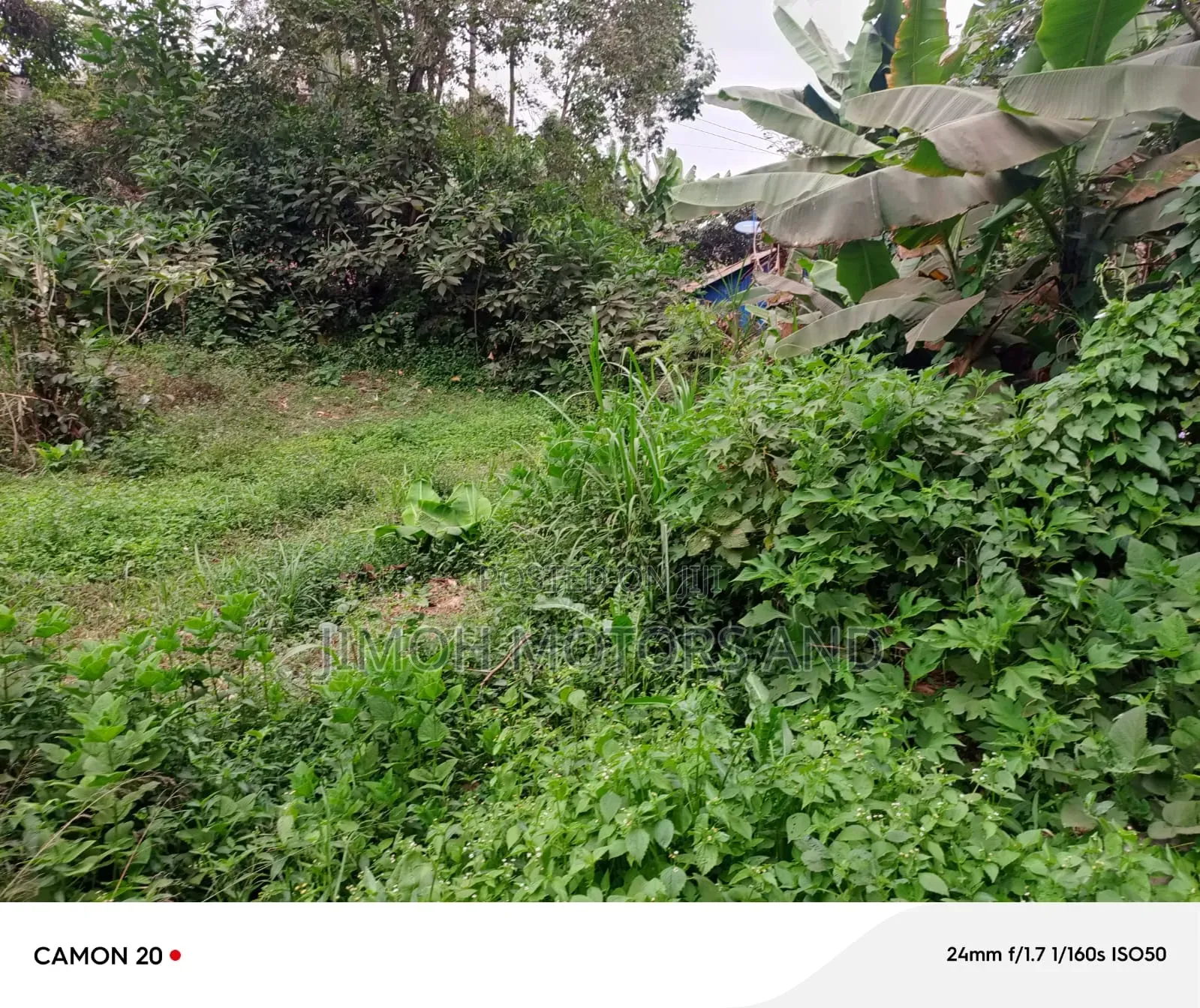 Land for Sale in Gachie