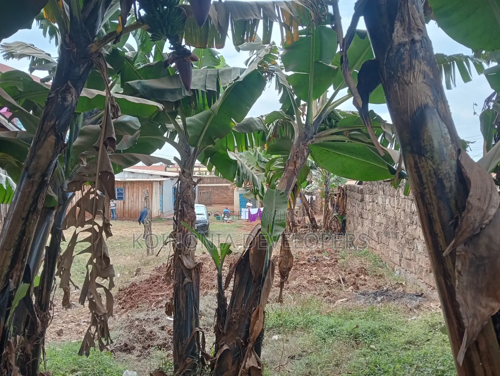 Commercial Plot in Koje Meru Size 182*80