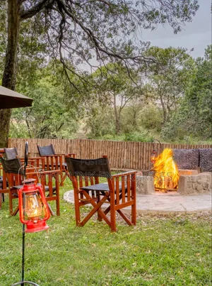 Cape Foldable Chairs Mahogany Safari Chairs