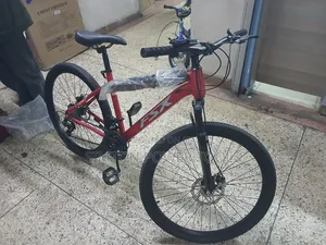FSX Mountain Bike