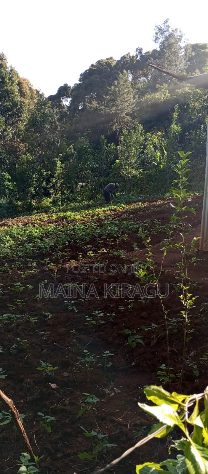 50x100 Plot for Sale in Kangodo, Dagorretti, Nairobu County
