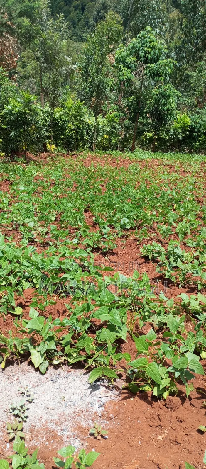 50x100 Plot for Sale in Kangodo, Dagorretti, Nairobu County