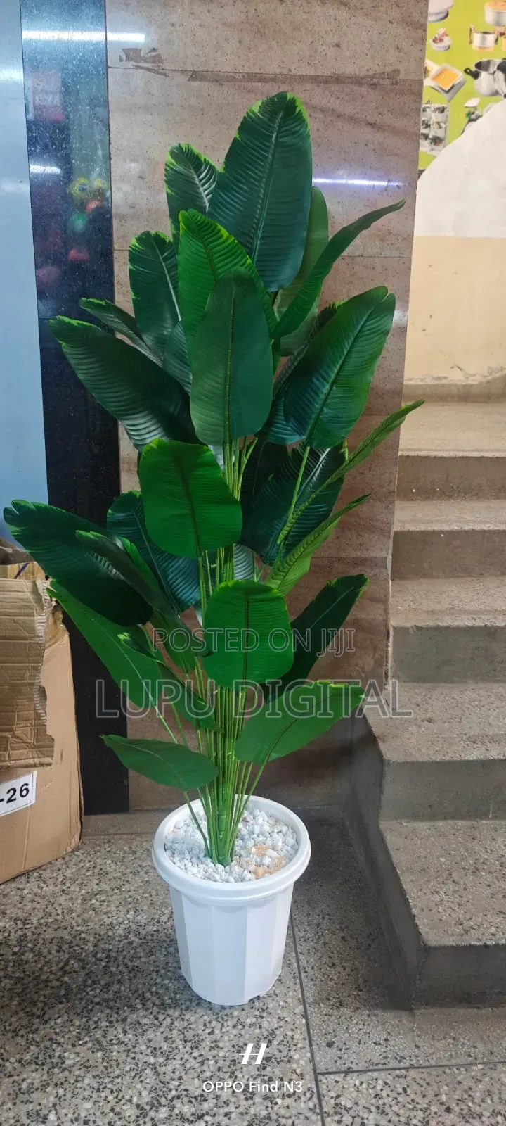 32leaves 1.4m
Complete With Vase