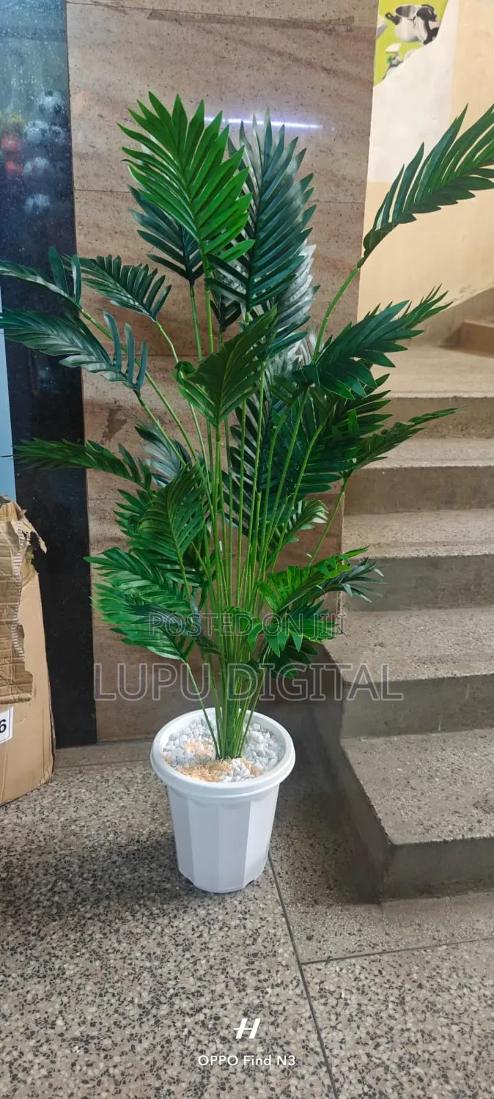 32leaves 1.4m
Complete With Vase