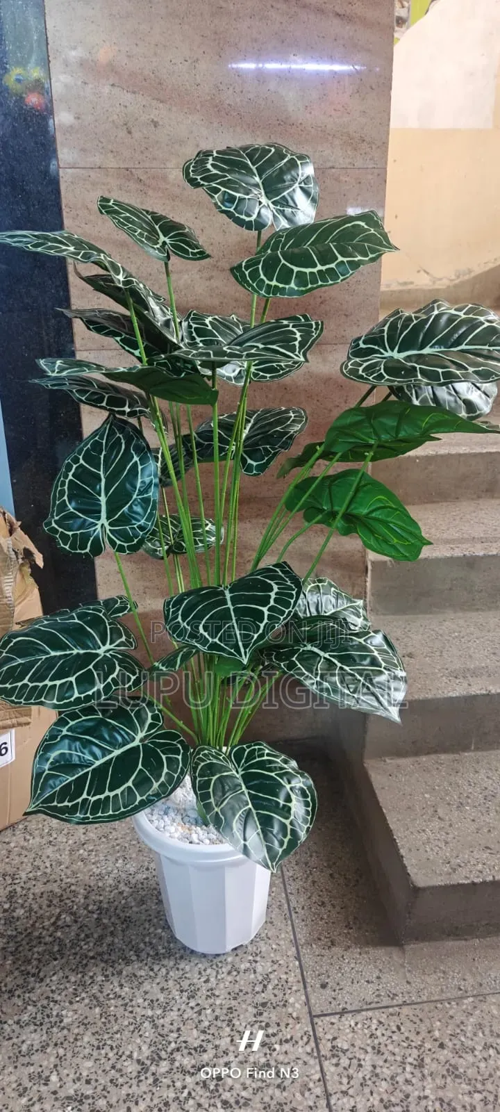 32leaves 1.4m
Complete With Vase