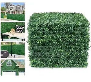 Evergreen Privacy Hedges Panels