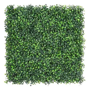 Evergreen Privacy Hedges Panels