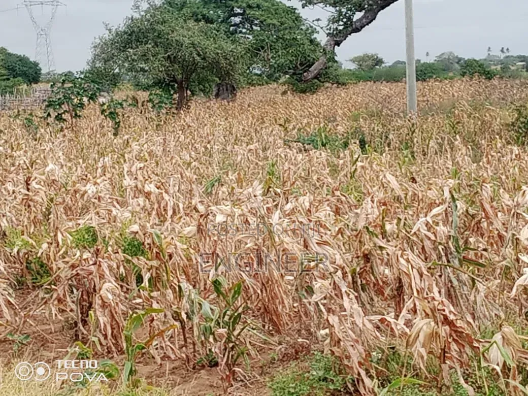 23 Acres Land