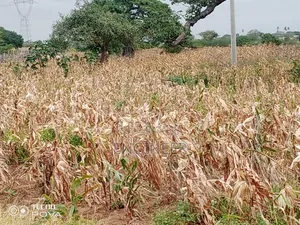 23 Acres Land