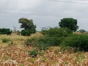 23 Acres Land