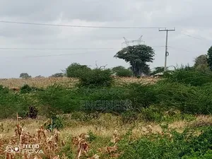 23 Acres Land