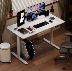 Office Desk : Electric Sit Stand 120CM Computer Desk