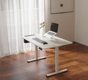 Office Desk : Electric Sit Stand 120CM Computer Desk
