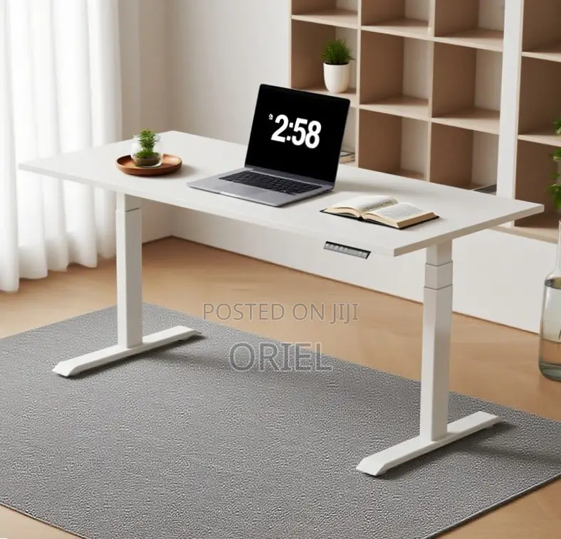 Office Desk : Electric Sit Stand 120CM Computer Desk