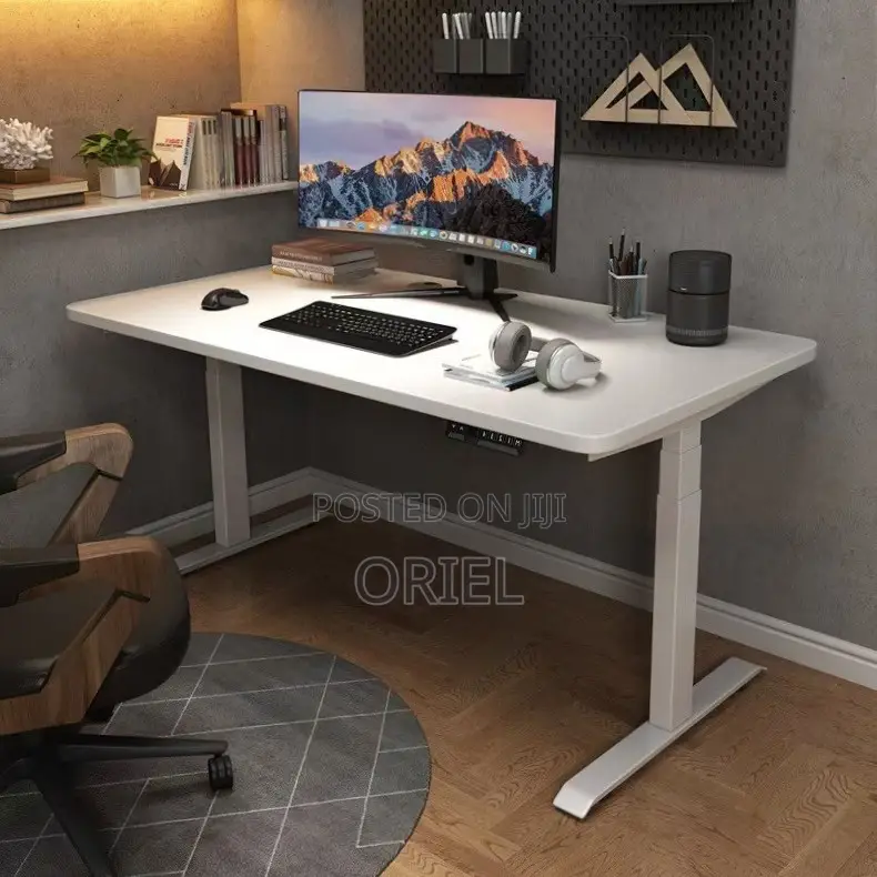 Office Desk : Electric Sit Stand 120CM Computer Desk