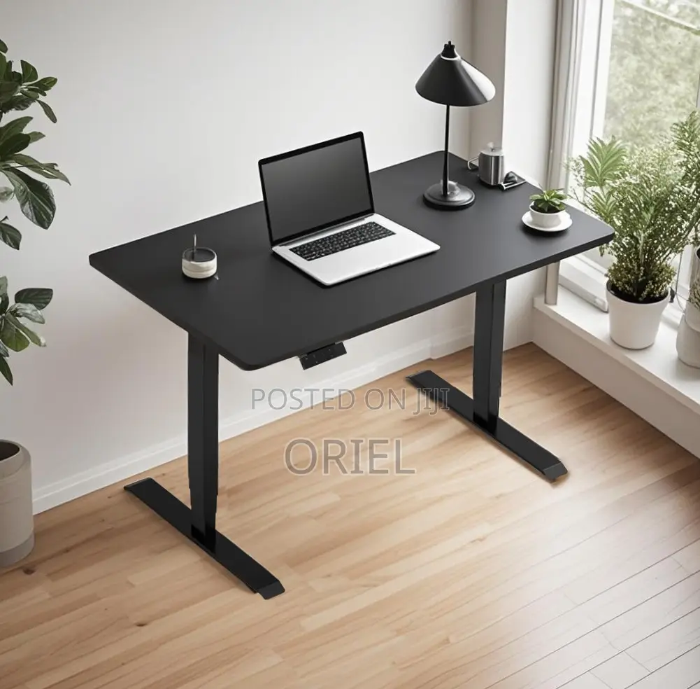 Office Desk : Electric Sit Stand 120CM Computer Desk