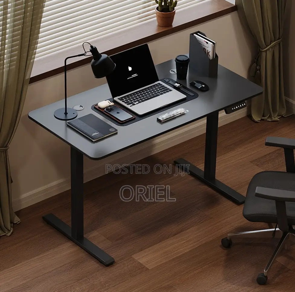 Office Desk : Electric Sit Stand 120CM Computer Desk