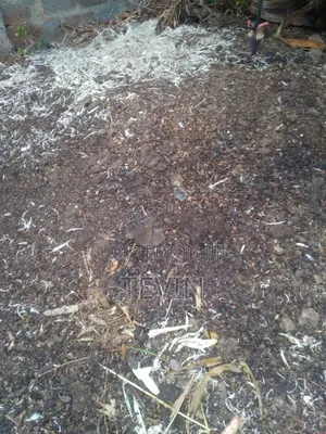 Chicken Manure