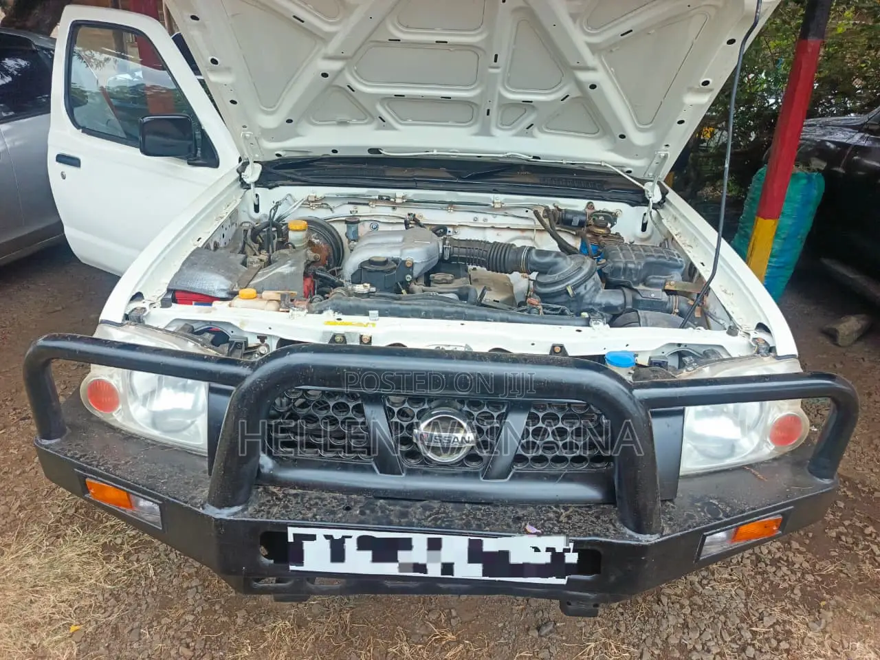 Nissan Hardbody 2015 White