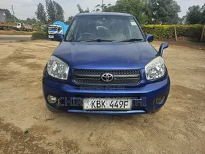 Toyota RAV4 2005 Blue