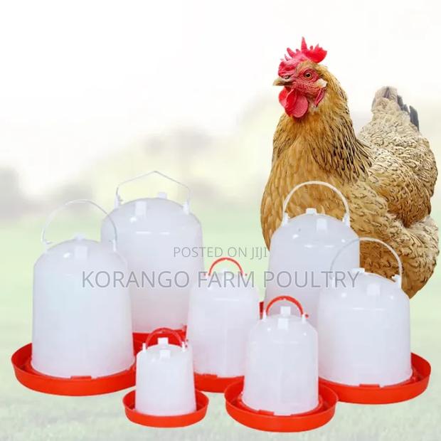 Chicken Drinkers